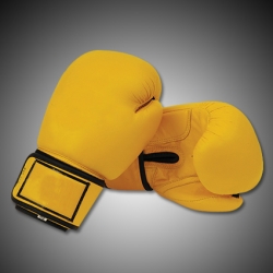 Boxing Gloves